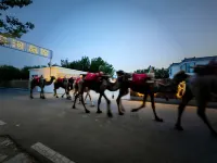 敦煌星河旅館