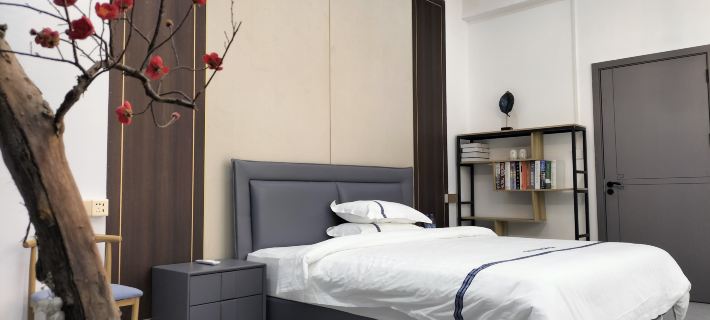 Zhencheng Zhenshanmei Homestay Hotels in Rucheng County