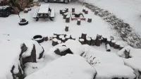darae pension