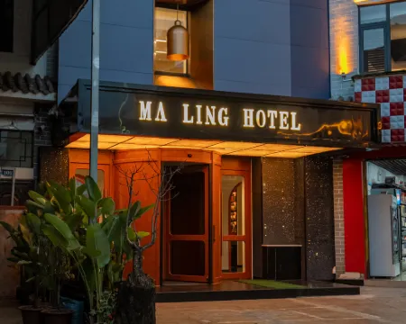 Hotel Ma Ling Hotels in Fengqing