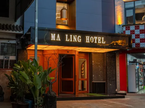 Hotel Ma Ling Hotels in Fengqing County