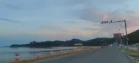 dongdongyujia