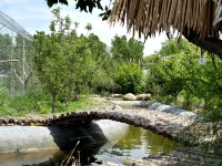 Yuequanju Private Hot Spring Homestay (Tongliao Zhanlu Hot Spring Resort City) Các khách sạn ở 