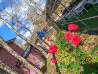 Xuegu Lijie donkey Youyi Station Hotels in Snow Town Scenic Aera