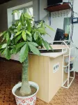 Grape Pavilion Homestay