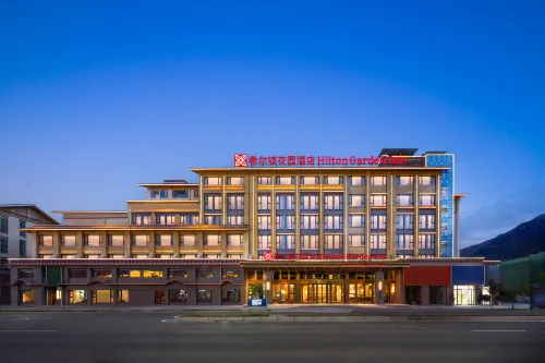 Hilton Garden Inn Linzhi Niyang Avenue - parking