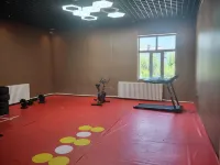 Nilka Midu Chinese Inn - Gym