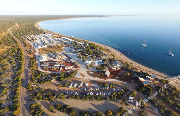 RAC芒基米亞海豚度假村