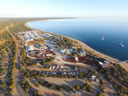 RAC Monkey Mia Dolphin Resort Отели рядом с достопримечательностью «Little Lagoon»