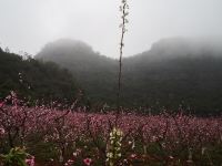 普者黑仙山别院客栈 - 酒店附近