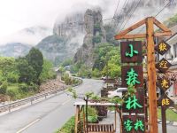 雁荡山小森林客栈 - 整栋六居室