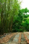 Nuodeng Yuanse Homestay