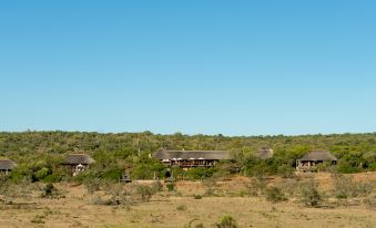 a desert landscape with a group of thatched - roof huts surrounded by trees and shrubs , under a clear blue sky at Pumba Private Game Reserve