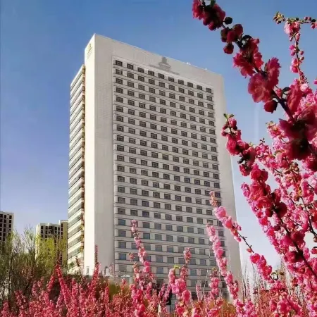 King Lion International Hotel