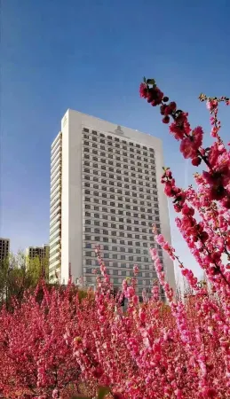 King Lion International Hotel