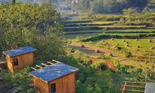 SMALL NATURAL