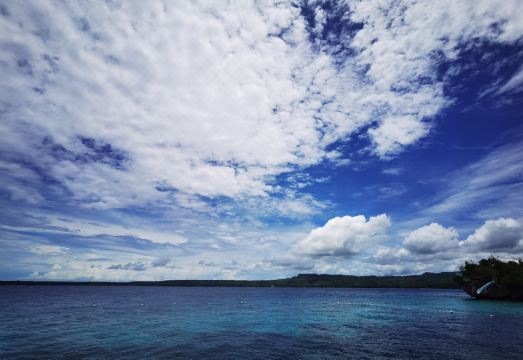 Jelly Sea Resort