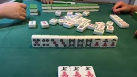 Anji Zhu Jin sui ye mei su