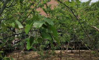 Fugui Manyuan Homestay