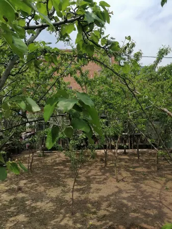 Fugui Manyuan Homestay Отели рядом с достопримечательностью «Fujing Mountain»