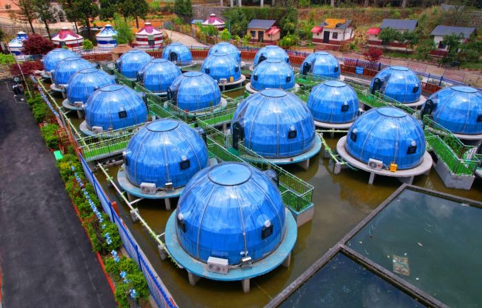 Water Starry Sky Homestay