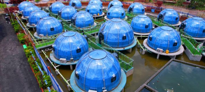 Water Starry Sky Homestay Ξενοδοχεία στην πόλη Επαρχία Παν