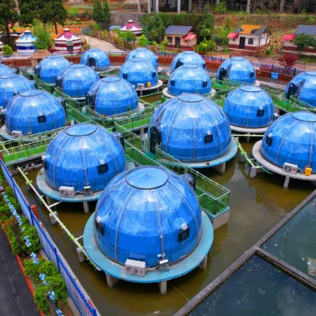 Water Starry Sky Homestay