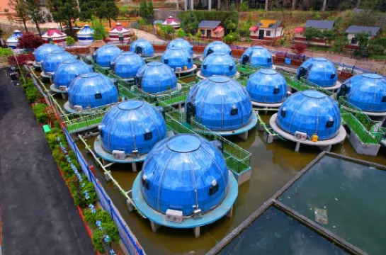 Water Starry Sky Homestay