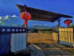 Yichun Xiangye Chunze Homestay