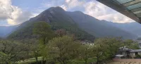 金絲嵐舍