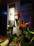 Floral Hotal · Yiru Chujian hotel