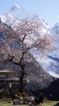 ZhiYu Guest House - Romanttinen