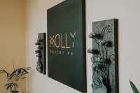 Molly Resorts