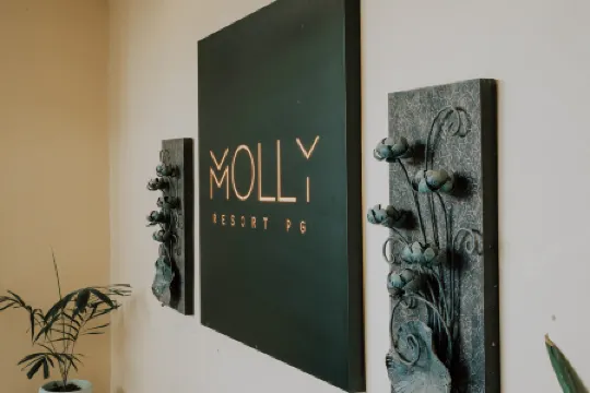 Molly Resorts