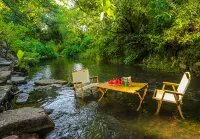 Happy Storm Anji Qingfeng Xiaozhu Holiday Meishu