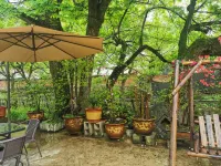 Xuancheng Liushulin Homestay Hotels near Bishan Longquan Cave