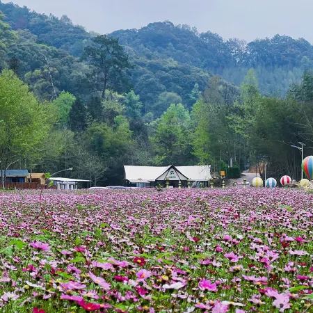 Shuda Hot Springs Camping Hotel