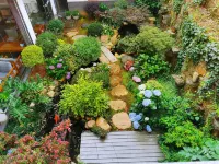 Dream Homeland Shaoshan Hotels near Shaoshan Flowers Grand View Garden for Memorizing the Great Man