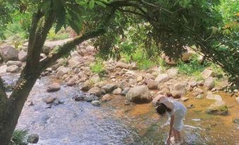 Nanping Tranquil Retreat Town Mountain Sea Dream Homestay