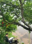 Muxi Cottage Hotels near Bai Shui Yang
