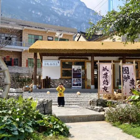 Canyon Homestay (Zhenfeng Xiaohuajiang)