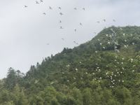 千岛湖喜林苑民宿 - 酒店景观