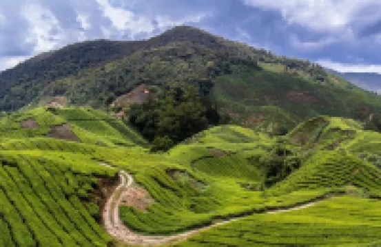 Eight Mentigi Guest House