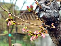 无锡拈花小苑客栈 - 酒店外部