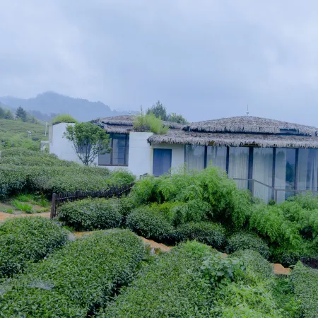 Earthly Teauage Homestay