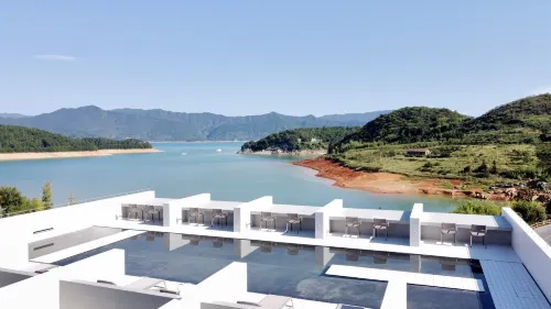 Tang Zhi BEGONIA Guesthouse - Quầy bar