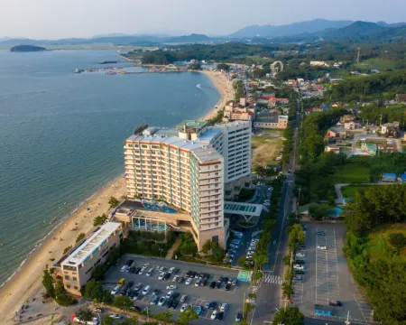 Beache Palace Hotels in Boryeong-si