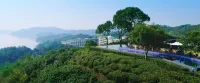 HENTIQUE PINECONE HOTEL - romantique