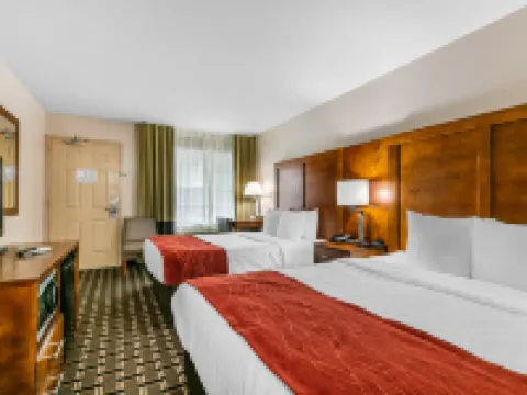 コンフォート  イン ダウンタウン ナッシュビル - ミュージック シティ センター デイヴィッドソンのホテル