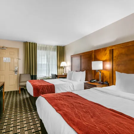 Comfort Inn Downtown Nashville - Music City Center